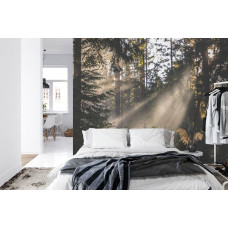 Een fotobehang met een rustgevende bosomgeving met zonnestralen in een slaapkamer.