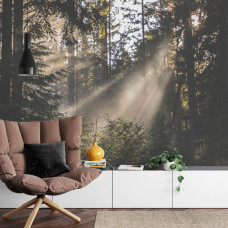 Een fotobehang met een schilderachtige bosweergave met zonlicht in een woonkamer.