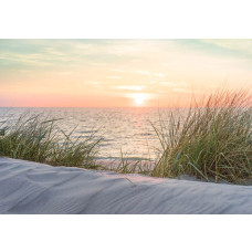 Fotobehang van een strand en duinen bij zonsondergang, warme kleuren.
