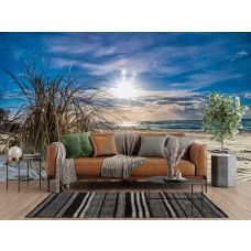 Fotobehang met zonnig strand en hoog helmgras aan zee in de woonkamer.