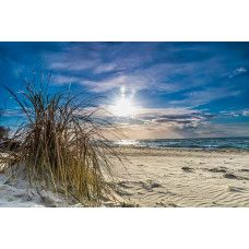 Fotobehang strand en zee met helmgras in de zon met een blauwe lucht en zonnig kustlandschap.