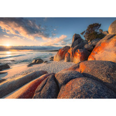 Strandlandschap Bay of Fires fotobehang, met een prachtig kustlandschap.