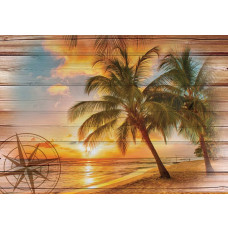 Zonsondergang op het strand met palmbomen, duinen en oceaan, perfect weergegeven op een fotobehang.