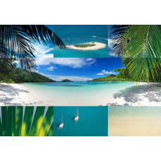 Strand met palmbomen en blauwe zee, weergegeven op een prachtig fotobehang voor een zomerse sfeer.