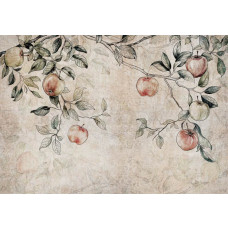 Fotobehang van takken van een appelboom met appels, voor een landelijke sfeer.