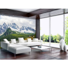 Een fotobehang van het Tatra-gebergte met besneeuwde bergtoppen, geschikt voor de woonkamer.