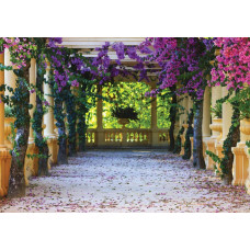 Balkon met bloemen, fotobehang met een 3D-weergave van bloemen en een prachtig uitzicht.