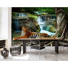 Een fotobehang van een tijger bij een waterval in een bos in een professioneel kantoor.