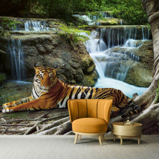 Een fotobehang van een tijger bij een waterval in een bos in een kinderkamer en woonkamer.
