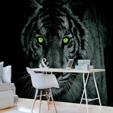 Een zwart-wit fotobehang met een tijger met groene ogen voor het kantoor.