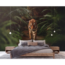 Een landelijke slaapkamer met een fotobehang van een majestueuze tijger die door het regenwoud loopt, omringd door weelderige jungle en natuur.