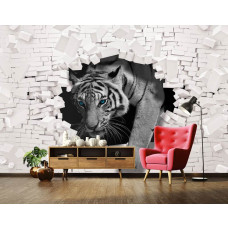 Een fotobehang van een tijger die door een muur breekt, ideaal voor de huiskamer.