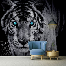 Een fotobehang van een imposante tijger met blauwe ogen in zwart-wit.