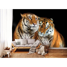 Een fotobehang met een tijger in een serene omgeving, passend voor diverse ruimtes.