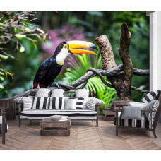 Een fotobehang van een reuzentoekan vogel in vliesbehangstijl voor een woonkamer.