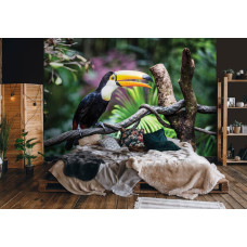 Een fotobehang van een reuzentoekan vogel in een serene slaapkamer.