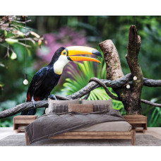 Een fotobehang van een reuzentoekan vogel in vliesbehangstijl voor een slaapkamer.