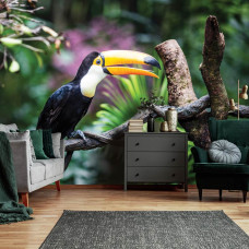 Een fotobehang van een reuzentoekan vogel in een woonkamer met natuurlijke kleuren.