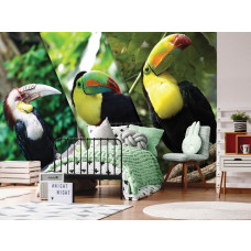 Een fotobehang van toekans vogels in een speelse kinderkamer.
