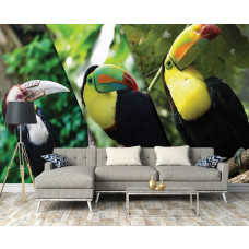 Een fotobehang van toekans vogels in een levendige woonkamer.
