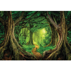 Tropisch regenwoud fotobehang voor kinderkamers, magisch en kleurrijk.