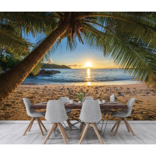 Fotobehang van een serene tropische setting met een palmboom, een warme zonsondergang en de stille zee, te zien in de keuken.