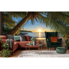 Fotobehang van een tropisch strand met een eenzame palmboom, een warme zonsondergang en de kalme zee, perfect zichtbaar in de woonkamer.