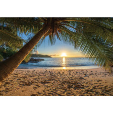 Fotobehang van een tropisch strand met een eenzame palmboom, een warme zonsondergang en een helderblauwe zee