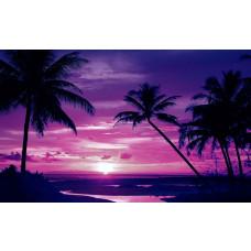 Tropische zonsondergang met palmbomen aan de kustlijn, met warme oranje en roze tinten in de lucht en de reflectie in het water.