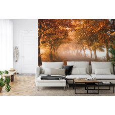 Een fotobehang met een tunnel van herfstbomen in warme tinten, afgebeeld in een huiskamer.