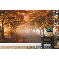 Een fotobehang met een tunnel van herfstbomen in een 3D-effect, weergegeven in een slaapkamer.