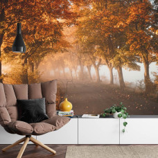 Een fotobehang met een 3D-weergave van een tunnel van herfstbomen in een woonkamer.