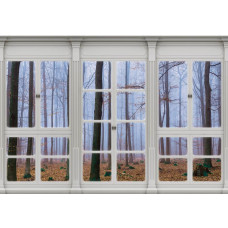 Fototapete mit Blick durch das Fenster auf einen Herbstwald in 3D-Perspektive mit Bäumen im Wohnzimmer.