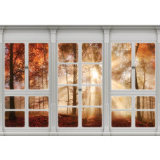 Fotobehang van een herfstbos, te zien door een raam, met zonnestralen en 3D-effect.