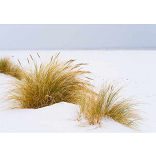 Fotobehang van een strand meer duinen landschap in beige tinten.