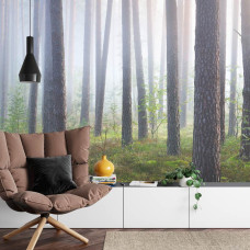 Een fotobehang met een verborgen bos in de nevel, met mystieke natuur en bomen.