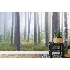 Een fotobehang met een mysterieus boslandschap gehuld in mist, ideaal voor een woonkamer.