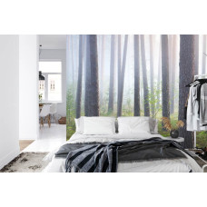 Een fotobehang met een verborgen bos in zachte mist, perfect voor een slaapkamer.