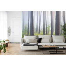 Een fotobehang met een verborgen bos in de nevel, perfect voor een huiskamer.