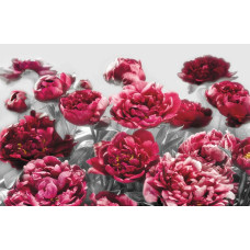 Verleiding met rozen, een romantisch fotobehang met weelderige bloemen, perfect voor een luxe sfeer.