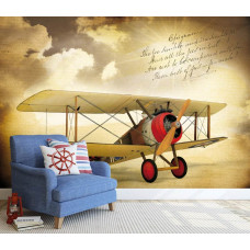 Een fotobehang met een vintage dubbeldekker vliegtuig, ideaal voor een nostalgische woonkamer.