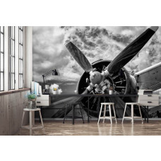 Een fotobehang van een industrieel stuntvliegtuig met propeller te zien in een kantoor.