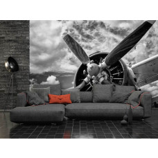 Een fotobehang van een industrieel stuntvliegtuig met propeller te zien in de woonkamer.