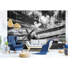 Een zwart-wit fotobehang van een vliegtuig voor de woonkamer.