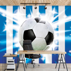 Een fotobehang met een voetbal op een grasveld, passend voor een kinderkamer en tienerkamer.