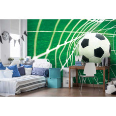 Een fotobehang van een voetbaldoelpunt op een voetbalveld, dat een dynamische en sportieve sfeer oproept. Perfect voor een kinderkamer om een energieke en sportieve omgeving te creėren.