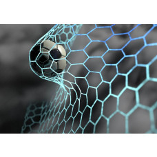 Fotobehang van een voetbal die gevangen is in het net, net op het moment van scoren, met het doel helder in beeld.