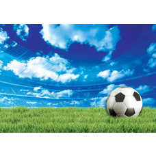 Fotobehang van een voetbalveld in een stadion met een groene grasmat voor kinderen.