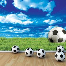 Een fotobehang van een voetbalstadion en grasveld, geschikt voor zowel een kinder- als tienerkamer.