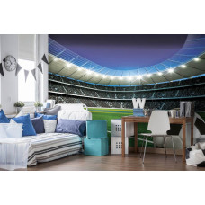 Fotobehang van een Braziliaans voetbalstadion met de vlag, passend voor een speelkamer.